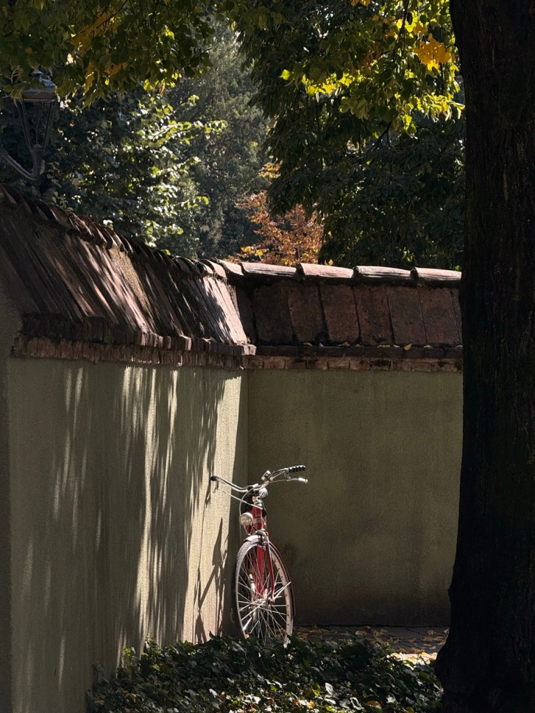 Image of a red bicycle leaning against an aged wall with a tree nearby